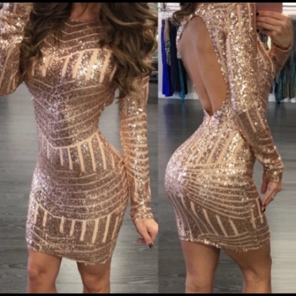 NWOT Rose Gold Backless Long Sleeve Dress